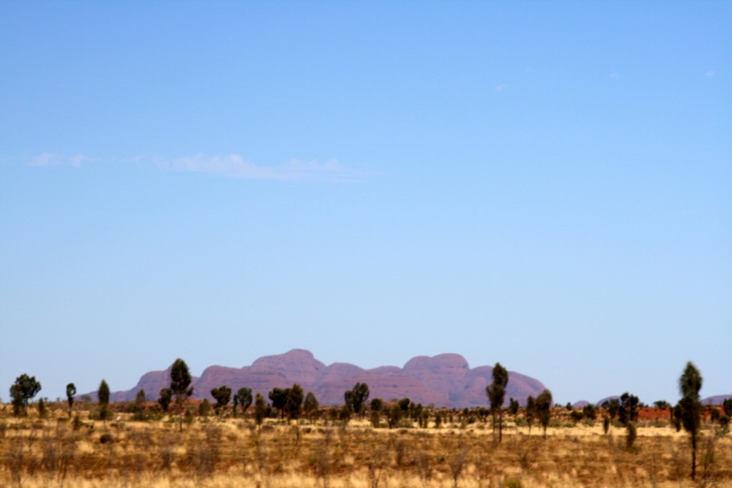 OLGAS 